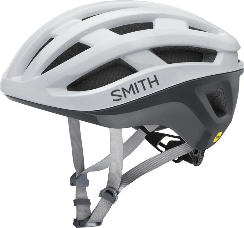 SMITH PERSIST 2 MIPS