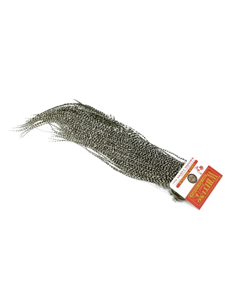 Bronze Midge 1/2 Saddle Grizzly