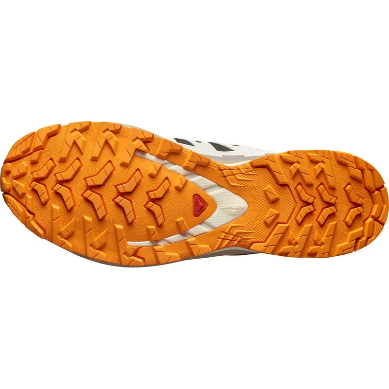 Salomon Shoes XA Pro 3D V9 GTX Herren Trailrunningschuh black vanilla ice turmeric