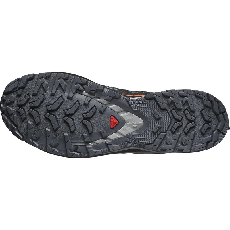 Salomon Shoe XA Pro 3D V9 GTX Herren Trailrunningschuh turbulence black burnt ochre